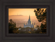Load image into Gallery viewer, Golden Oakland
