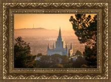 Load image into Gallery viewer, Golden Oakland
