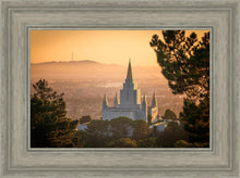 Load image into Gallery viewer, Golden Oakland
