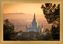 Load image into Gallery viewer, Golden Oakland
