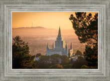 Load image into Gallery viewer, Golden Oakland
