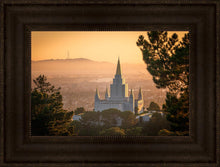 Load image into Gallery viewer, Golden Oakland
