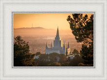 Load image into Gallery viewer, Golden Oakland
