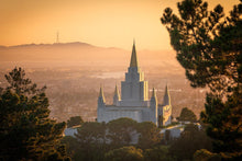 Load image into Gallery viewer, Golden Oakland
