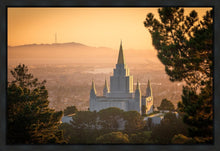 Load image into Gallery viewer, Golden Oakland
