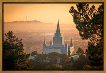 Load image into Gallery viewer, Golden Oakland
