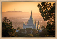 Load image into Gallery viewer, Golden Oakland
