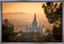 Load image into Gallery viewer, Golden Oakland
