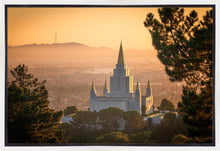 Load image into Gallery viewer, Golden Oakland
