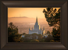 Load image into Gallery viewer, Golden Oakland
