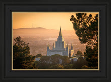 Load image into Gallery viewer, Golden Oakland
