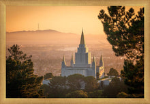 Load image into Gallery viewer, Golden Oakland
