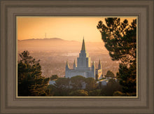 Load image into Gallery viewer, Golden Oakland
