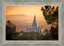 Load image into Gallery viewer, Golden Oakland
