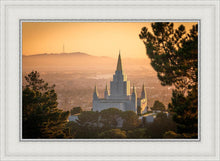 Load image into Gallery viewer, Golden Oakland

