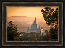 Load image into Gallery viewer, Golden Oakland

