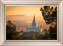 Load image into Gallery viewer, Golden Oakland
