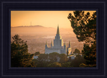 Load image into Gallery viewer, Golden Oakland
