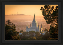 Load image into Gallery viewer, Golden Oakland

