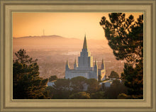 Load image into Gallery viewer, Golden Oakland
