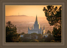 Load image into Gallery viewer, Golden Oakland
