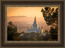 Load image into Gallery viewer, Golden Oakland
