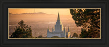 Load image into Gallery viewer, Golden Oakland
