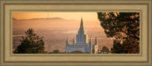 Load image into Gallery viewer, Golden Oakland
