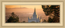 Load image into Gallery viewer, Golden Oakland
