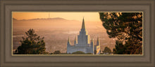 Load image into Gallery viewer, Golden Oakland
