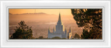 Load image into Gallery viewer, Golden Oakland
