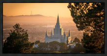 Load image into Gallery viewer, Golden Oakland
