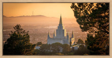 Load image into Gallery viewer, Golden Oakland
