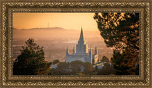 Load image into Gallery viewer, Golden Oakland
