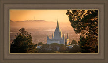 Load image into Gallery viewer, Golden Oakland
