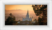Load image into Gallery viewer, Golden Oakland
