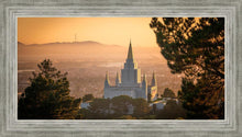 Load image into Gallery viewer, Golden Oakland
