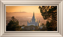 Load image into Gallery viewer, Golden Oakland
