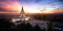 Load image into Gallery viewer, Oakland from on High
