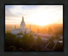 Load image into Gallery viewer, Oakland Sunburst
