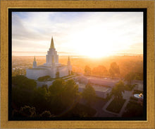 Load image into Gallery viewer, Oakland Sunburst
