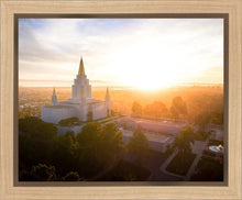 Load image into Gallery viewer, Oakland Sunburst
