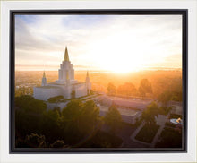 Load image into Gallery viewer, Oakland Sunburst
