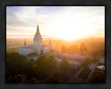 Load image into Gallery viewer, Oakland Sunburst
