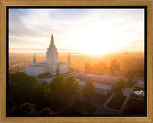 Load image into Gallery viewer, Oakland Sunburst
