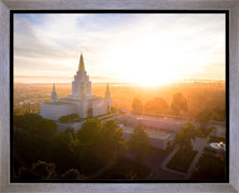 Load image into Gallery viewer, Oakland Sunburst
