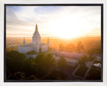 Load image into Gallery viewer, Oakland Sunburst

