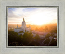 Load image into Gallery viewer, Oakland Sunburst
