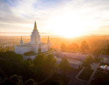 Load image into Gallery viewer, Oakland Sunburst
