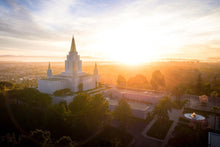 Load image into Gallery viewer, Oakland Sunburst
